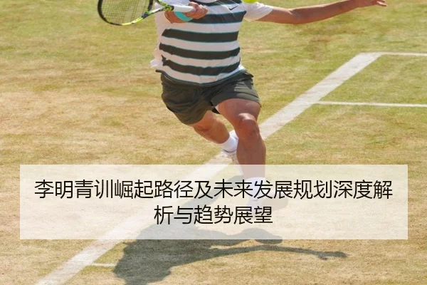 李明青训崛起路径及未来发展规划深度解析与趋势展望