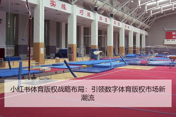 小红书体育版权战略布局：引领数字体育版权市场新潮流